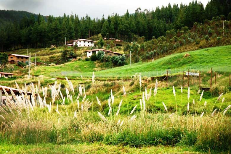 Agriturismo Porcón